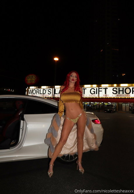 Naakte gelekte OnlyFans-foto van Nicolettesheasquad