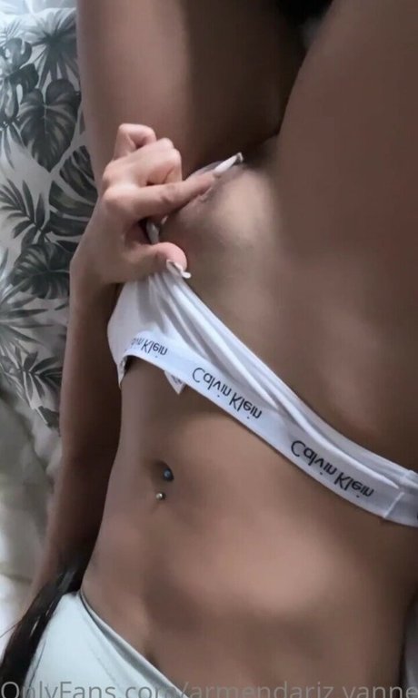 Armendarizvanne