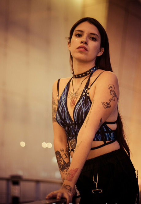 Naakte gelekte OnlyFans-foto van Prinsexh