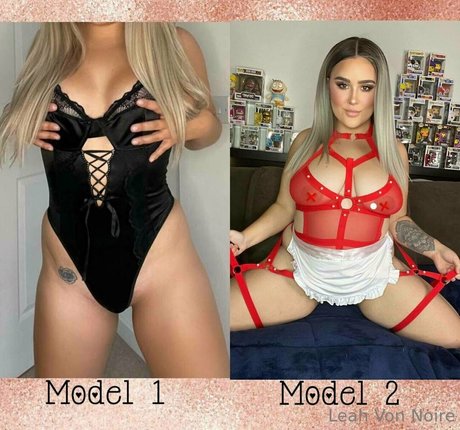 Leahvonnoirefree