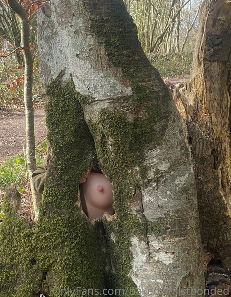 Bakedwhilstbonded