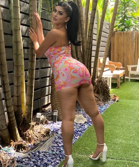 Sophialeonexo