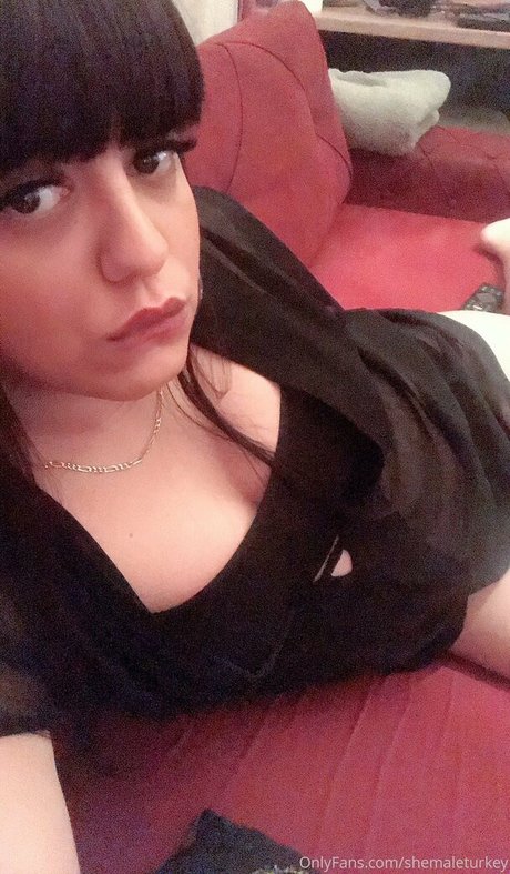 Naakte gelekte OnlyFans-foto van Shemaleturkey