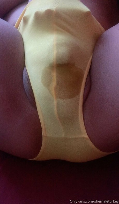 Naakte gelekte OnlyFans-foto van Shemaleturkey