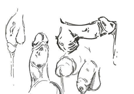 Ceresclouds