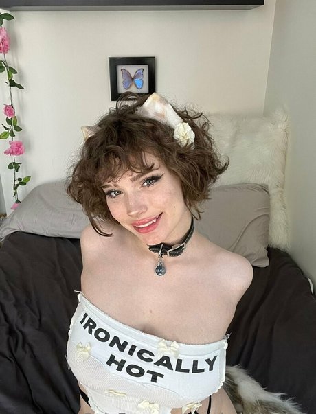 Realmkittenfree