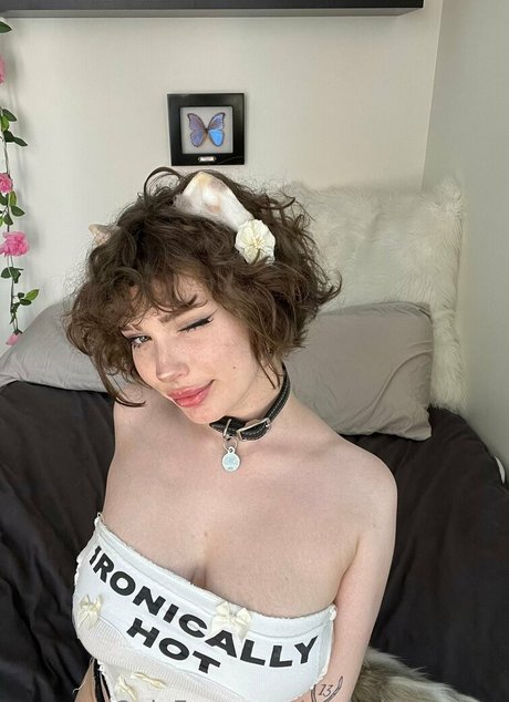 Realmkittenfree