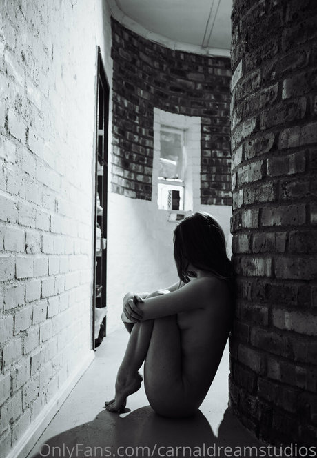 Naakte gelekte OnlyFans-foto van Carnaldreamstudios