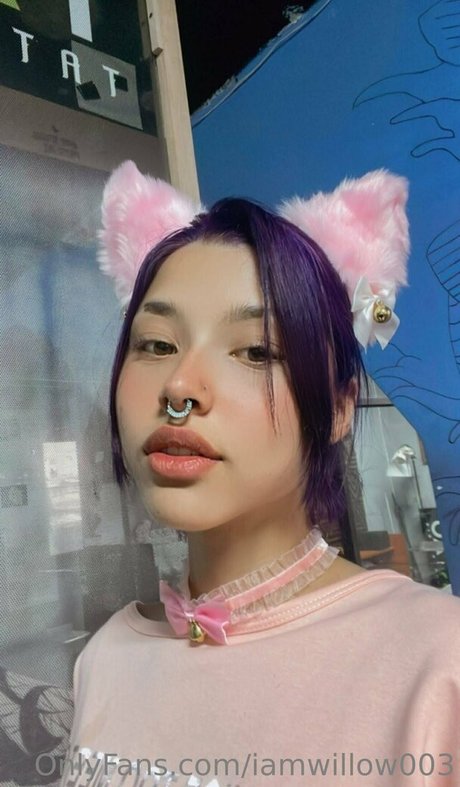 Naakte gelekte OnlyFans-foto van Iamwillow003