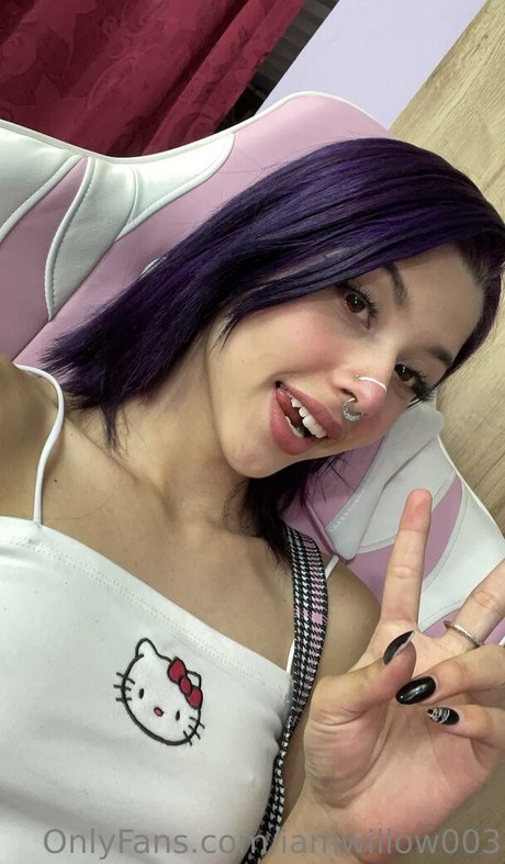 Naakte gelekte OnlyFans-foto van Iamwillow003