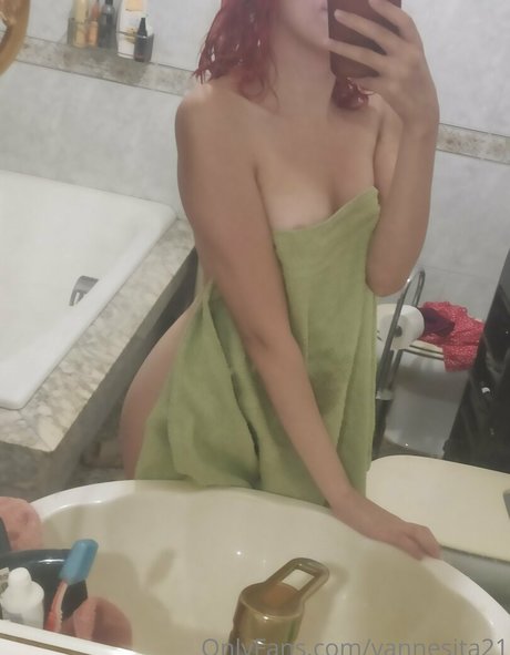 Vannesita21