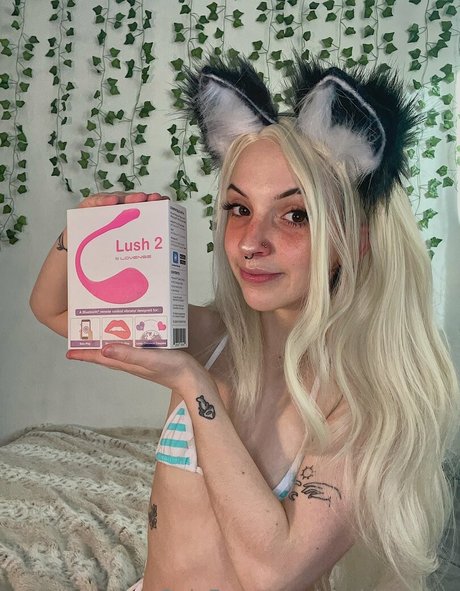 Youkittenme