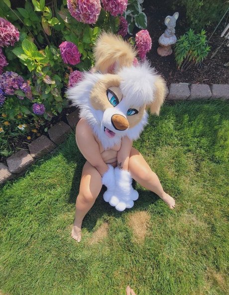 Murrsuit