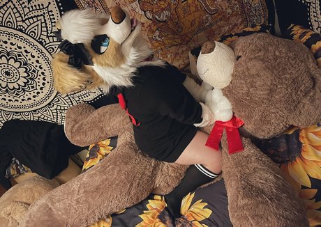 Murrsuit