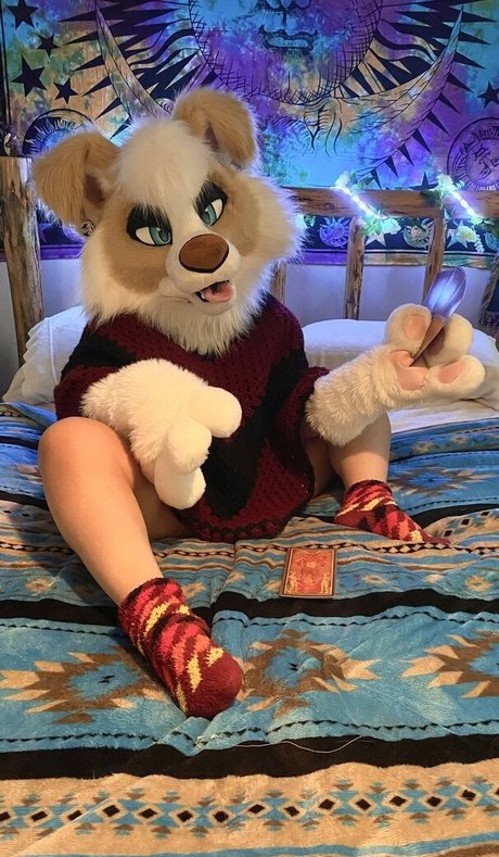 Murrsuit