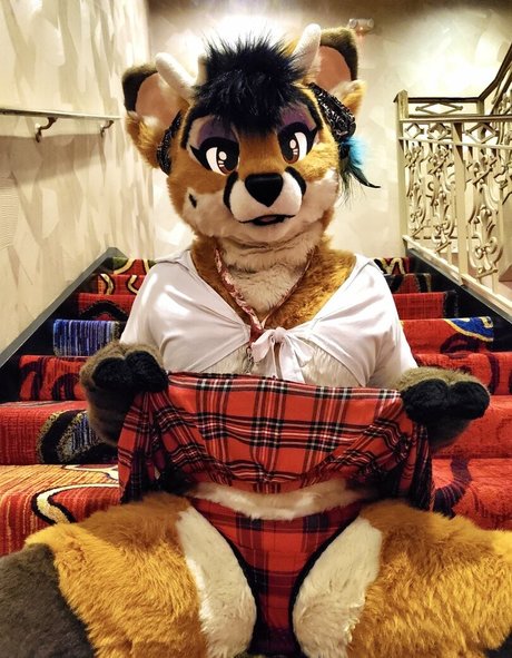 Murrsuit