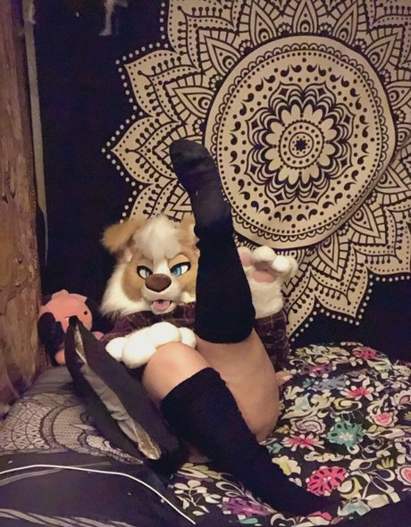 Murrsuit