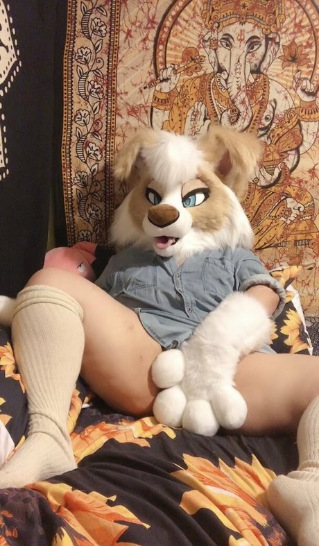 Murrsuit