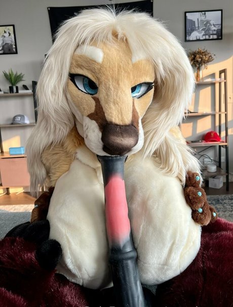 Angel_pups