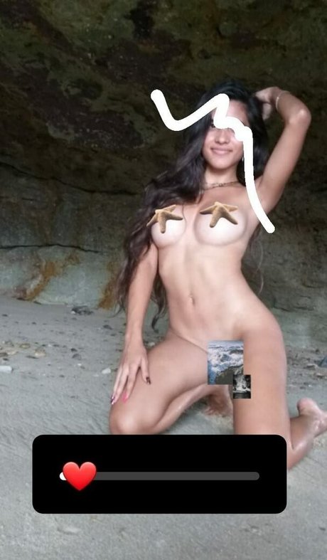 Lari Cogumelos