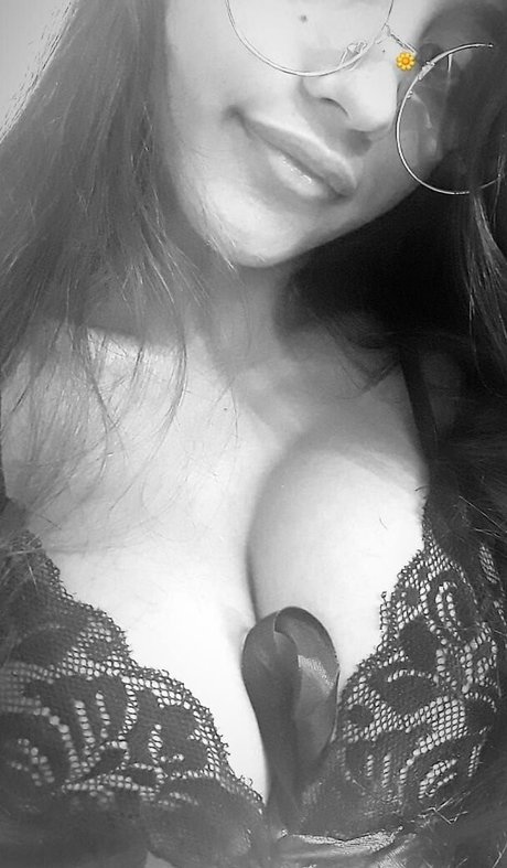 Lari Cogumelos
