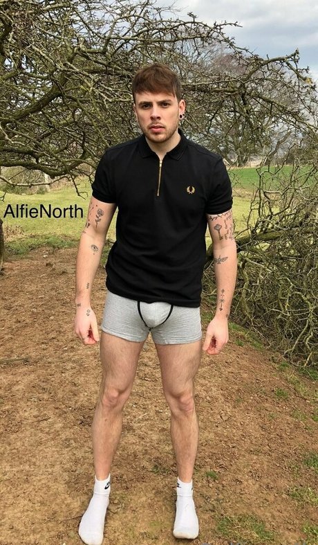 Naakte gelekte OnlyFans-foto van Alfienorthfree