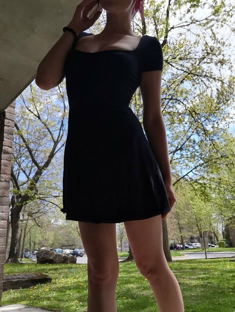 Bellafuryfree