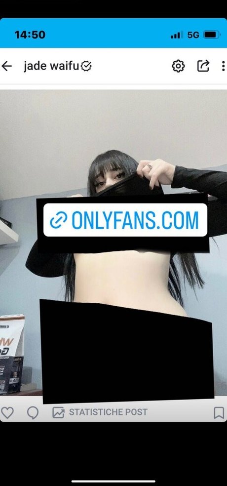 Jadewaifu666