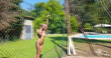 Natalee