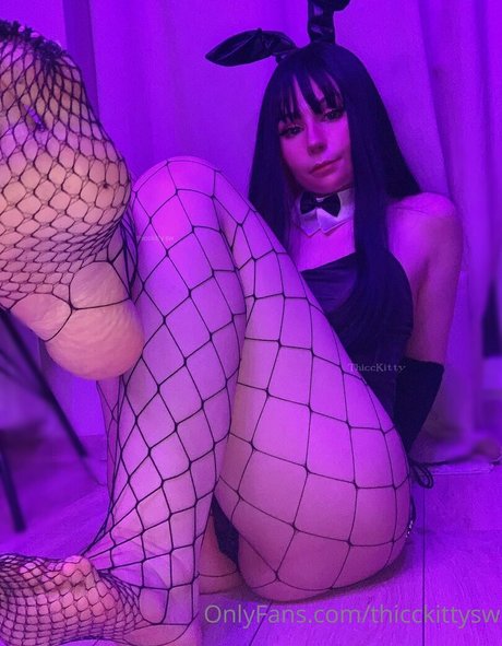 Thicc Kitty