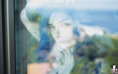 Heysaria