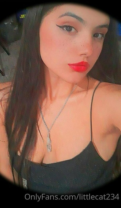 Littlecat234