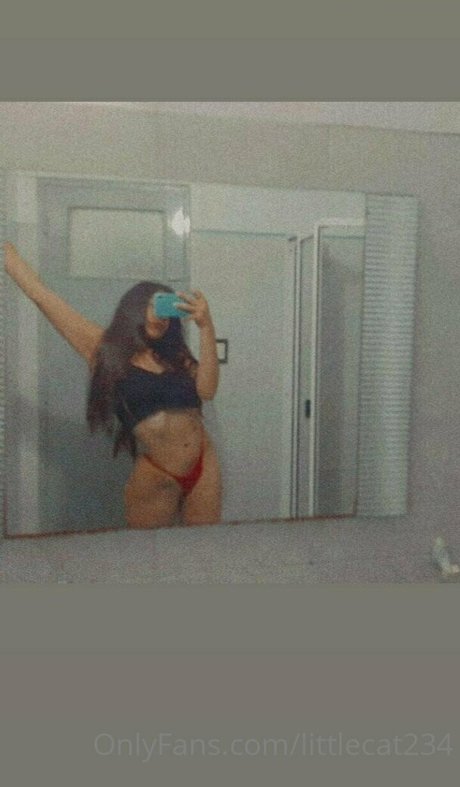 Littlecat234