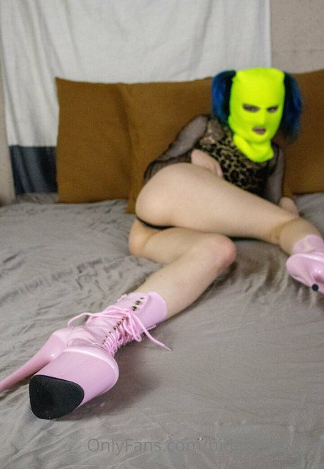 Bidaily666free