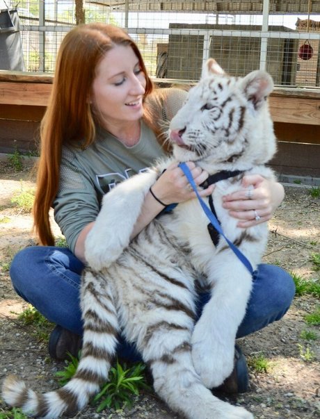 Tigerqueen