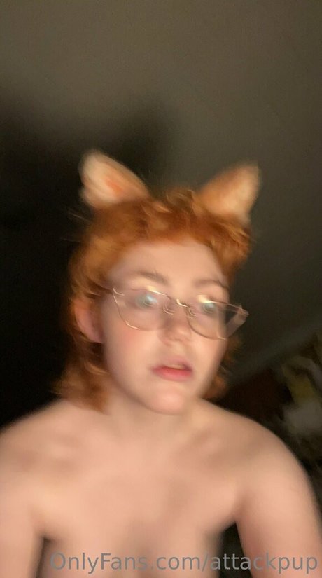 Attackpup
