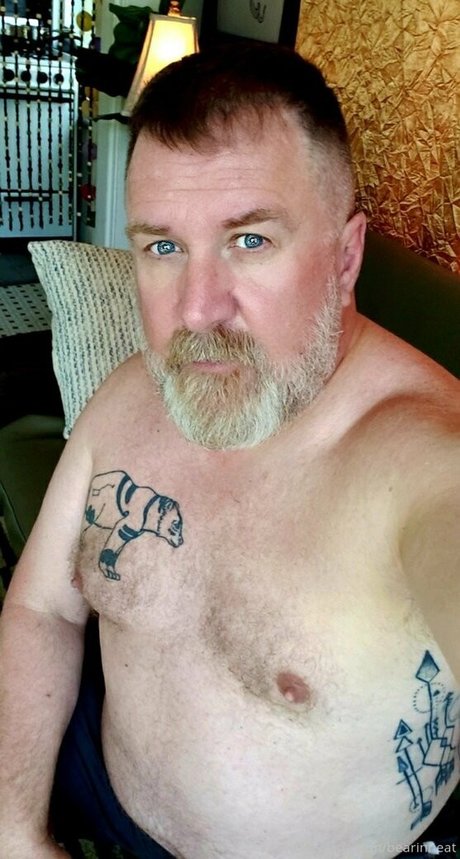 Bearinheat